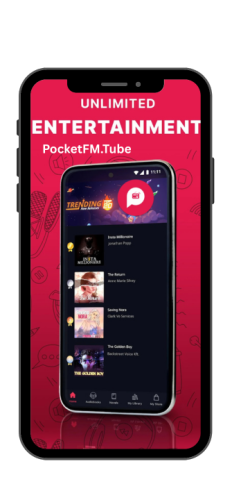Different Playback Languages